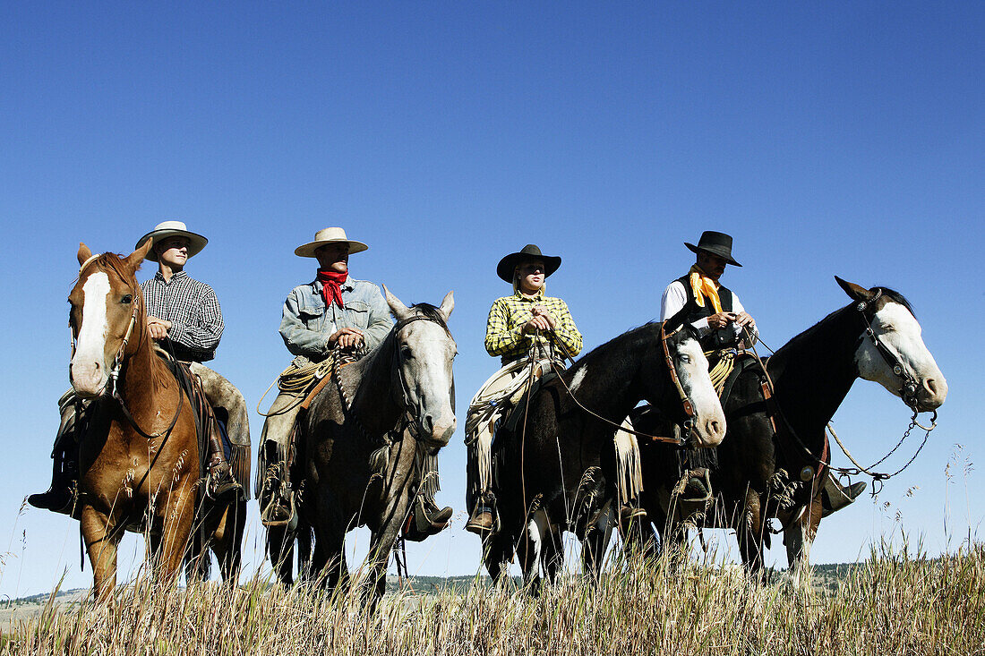 Cattlemen with Quarter horse and/or Paint of USA. Ponderosa Ranch. Seneca. Oregon . USA