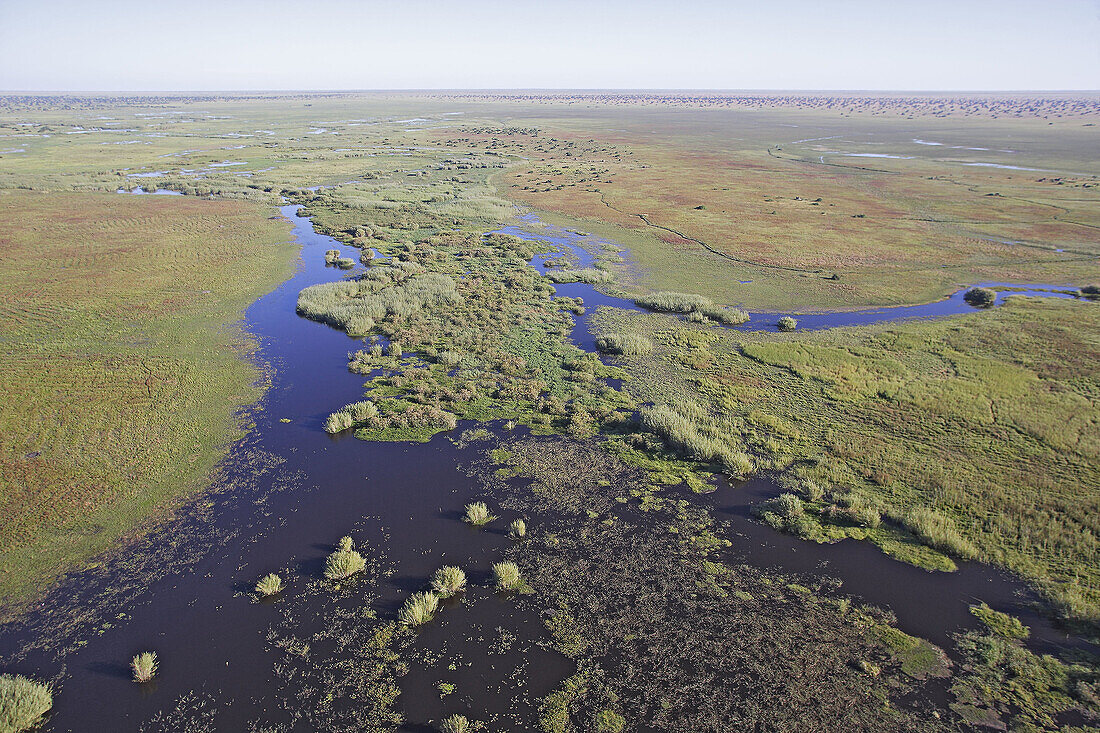 Flight over Bangweuleu marshes. Zambia