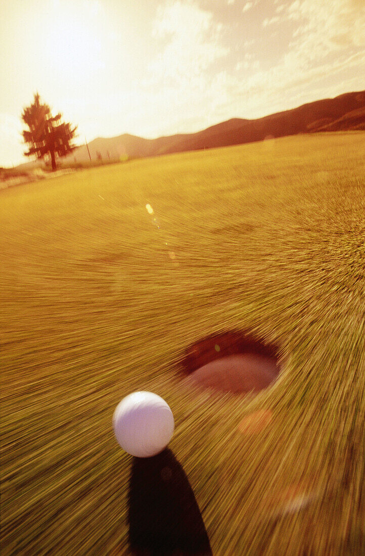  Ball, Balls, Blurred, Color, Colour, Concept, Concepts, Contemporary, Daytime, Detail, Details, Exterior, Fast, Golf, Golf course, Golf courses, Golfing, Grass, Green, Hole, Hole in one, Holes, Lawn, Motion, Movement, Outdoor, Outdoors, Outside, Putt, Pu
