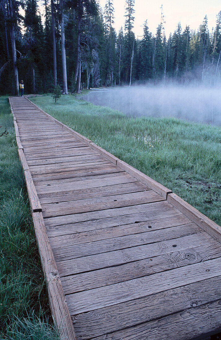 Hiker on boardwalk trail. Summit Lake. Lassen Volcanic National Park. California. USA