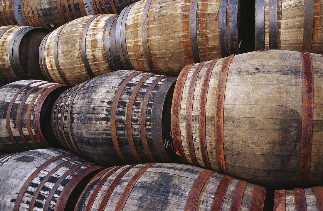 Whisky barrels at distillery. Fort William. Scotland