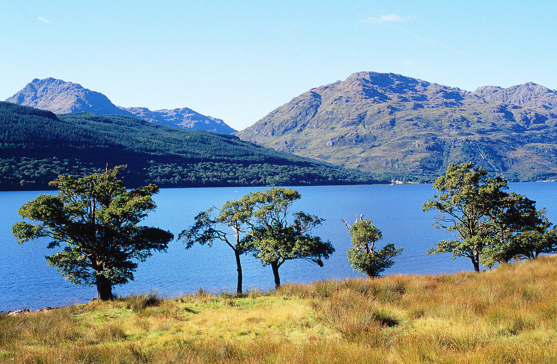 Loch Ness. Highlands. Scotland