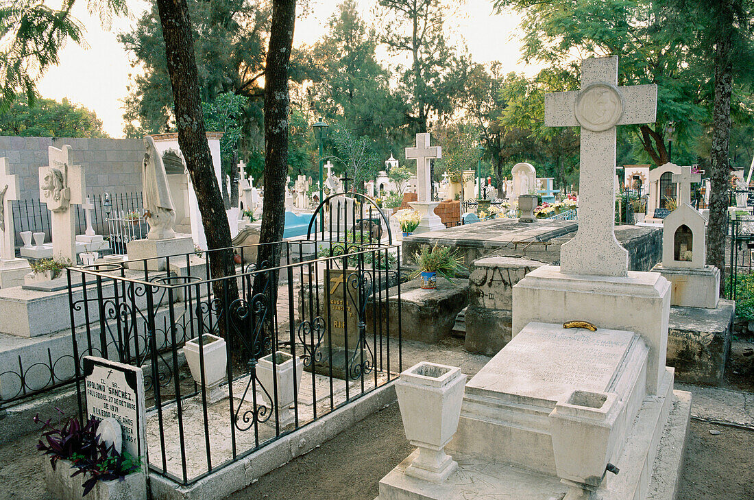 Town cemetery. San Miguel de Allende. Guanajuato. Mexico