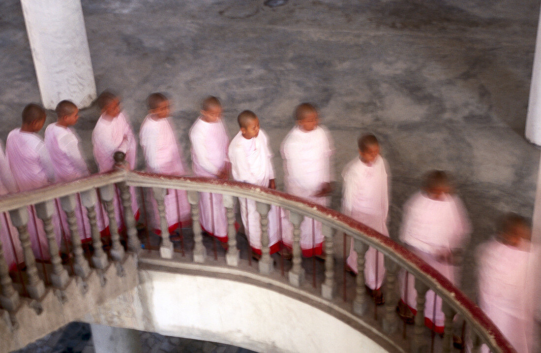 Nuns walking from morning prayers. Mandalay. Myanmar.