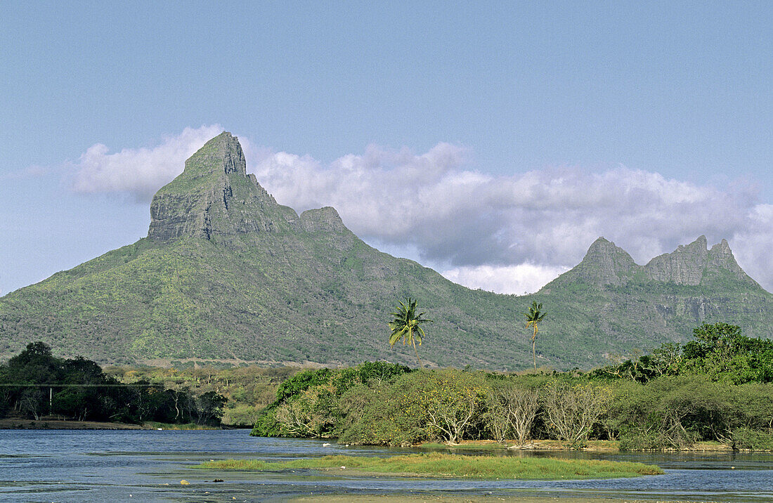 Tamarin bay and Riviere du Rempart. Tamarin. West Coast. Mauritius