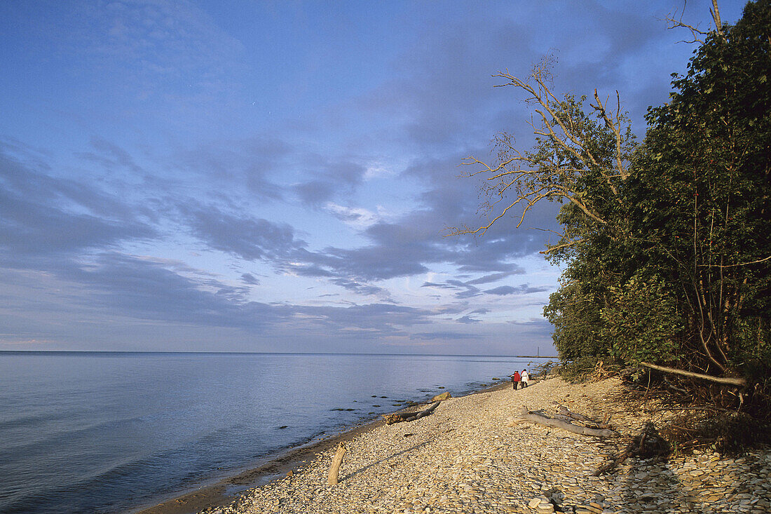 Beach. Gulf of Finland, Baltic coast. Toila. Estonia.