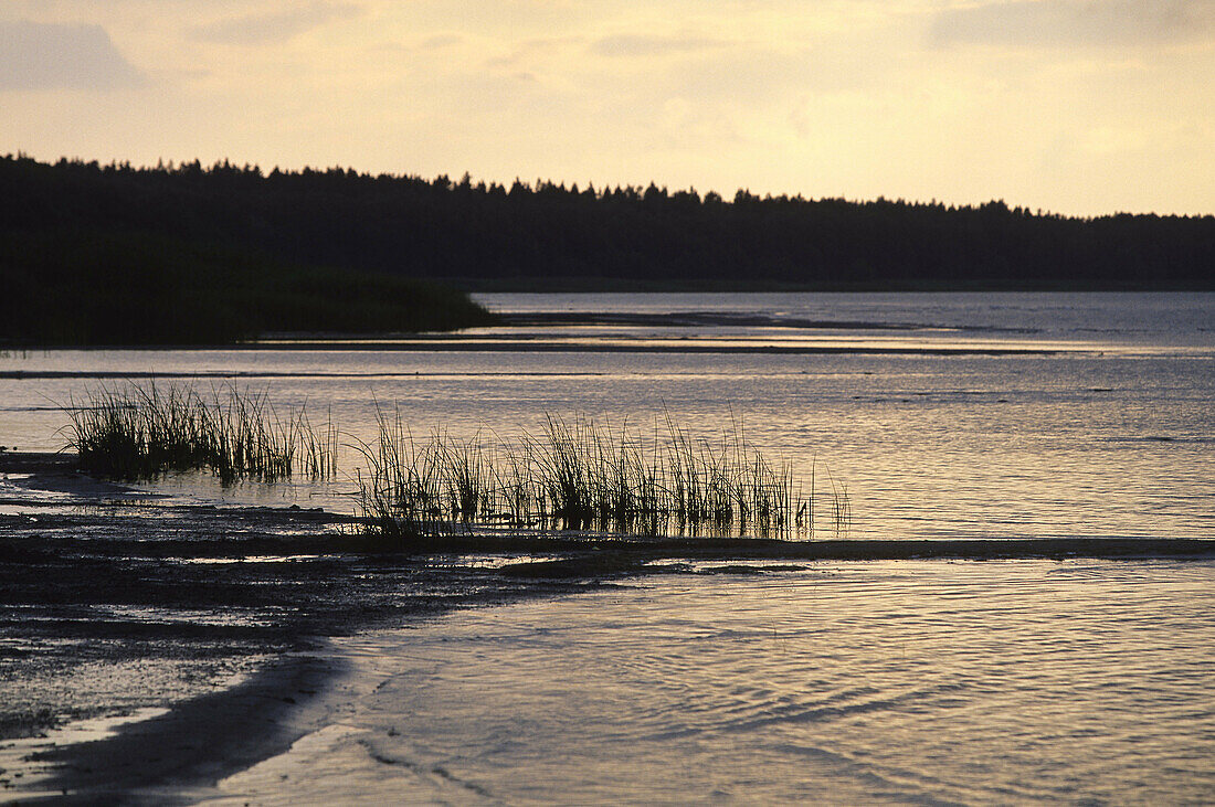 Võsu. Baltic coast. Gulf of Finland. Lahemaa National Park. Estonia.