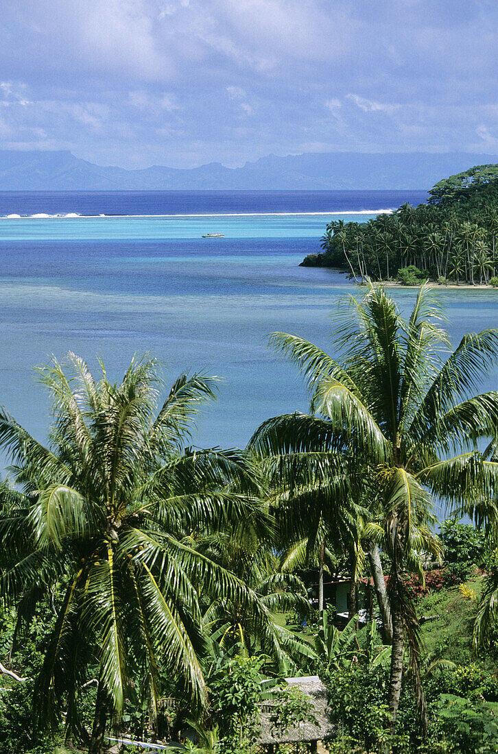 Huahine. Leeward Islands, French Polynesia