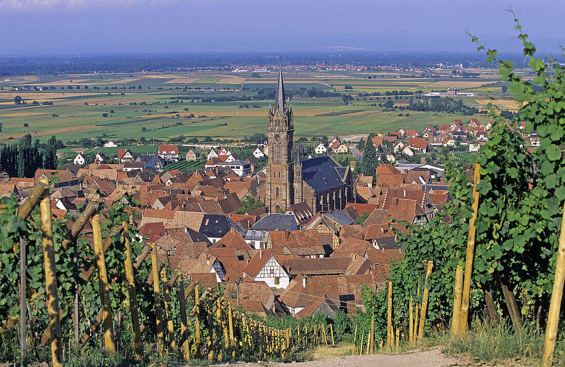 General view. Dambach la ville. Haut Rhin. Alsace. France.