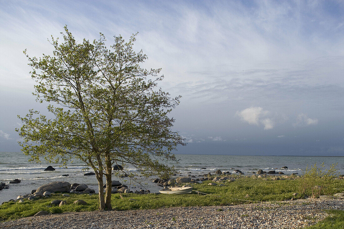 Stone beach on Baltic coast, Saaremaa island. Estonia