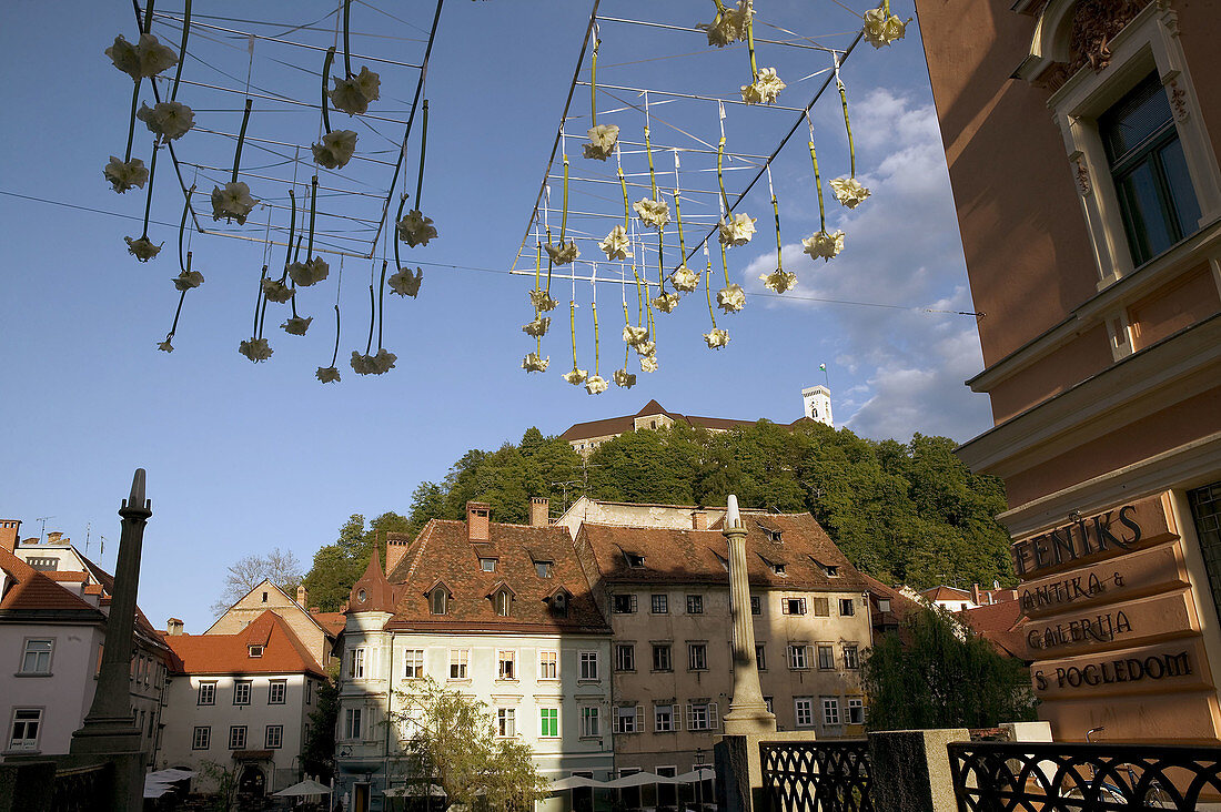 Flower Ceiling on the West Bank of the Ljubljanica River. Ljubljana. Slovenia. 2004.