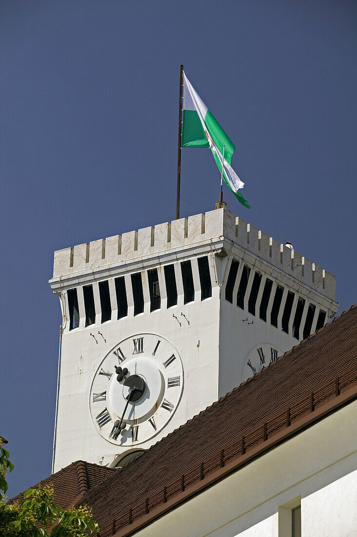 Castle Hill. Belvedere Tower. Ljubljana. Slovenia.