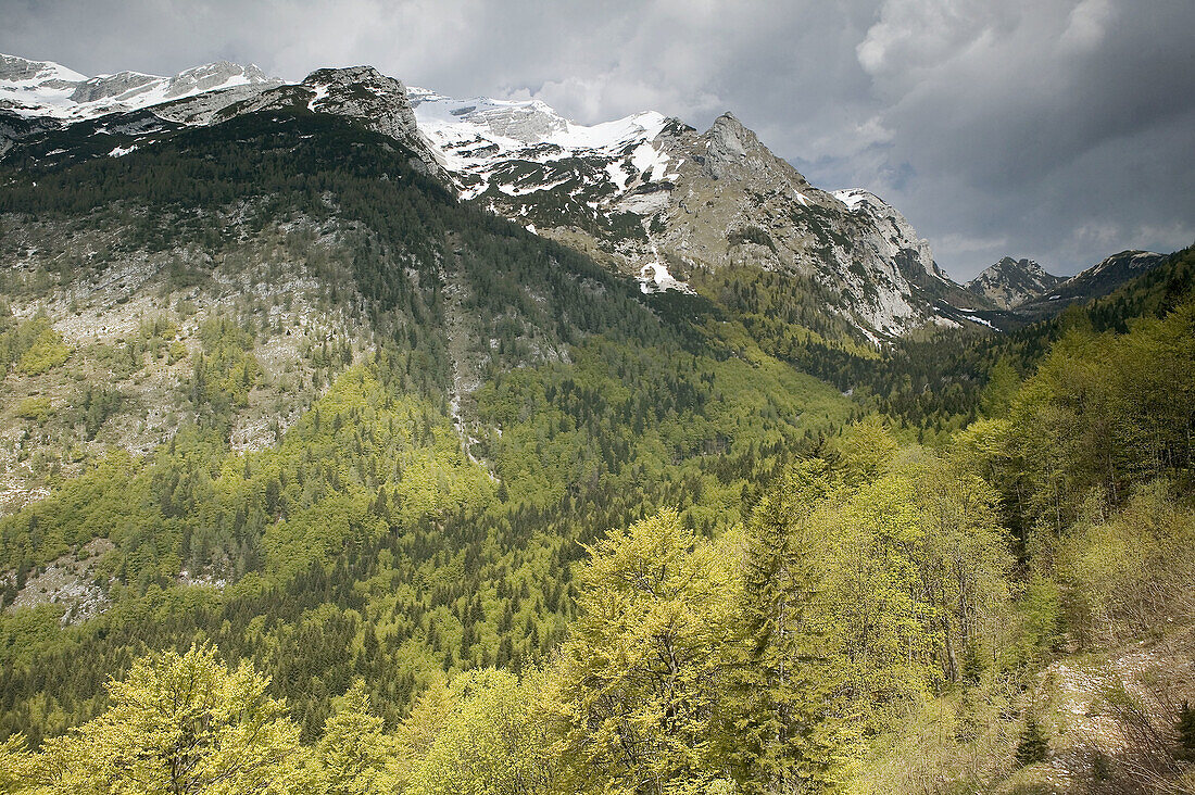 Julian Alps. Vrsic Pass (1611 meters). Vrsic Pass. Gorenjska. Slovenia.