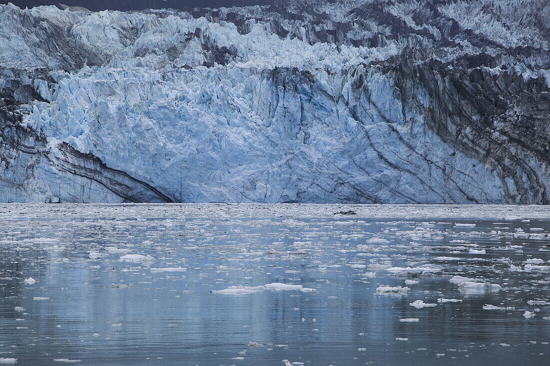 Glacial Ice. Johns Hopkins Inlet. Johns Hopkins Glacier. Glacier Bay National Park. Southeast Alaska. USA.