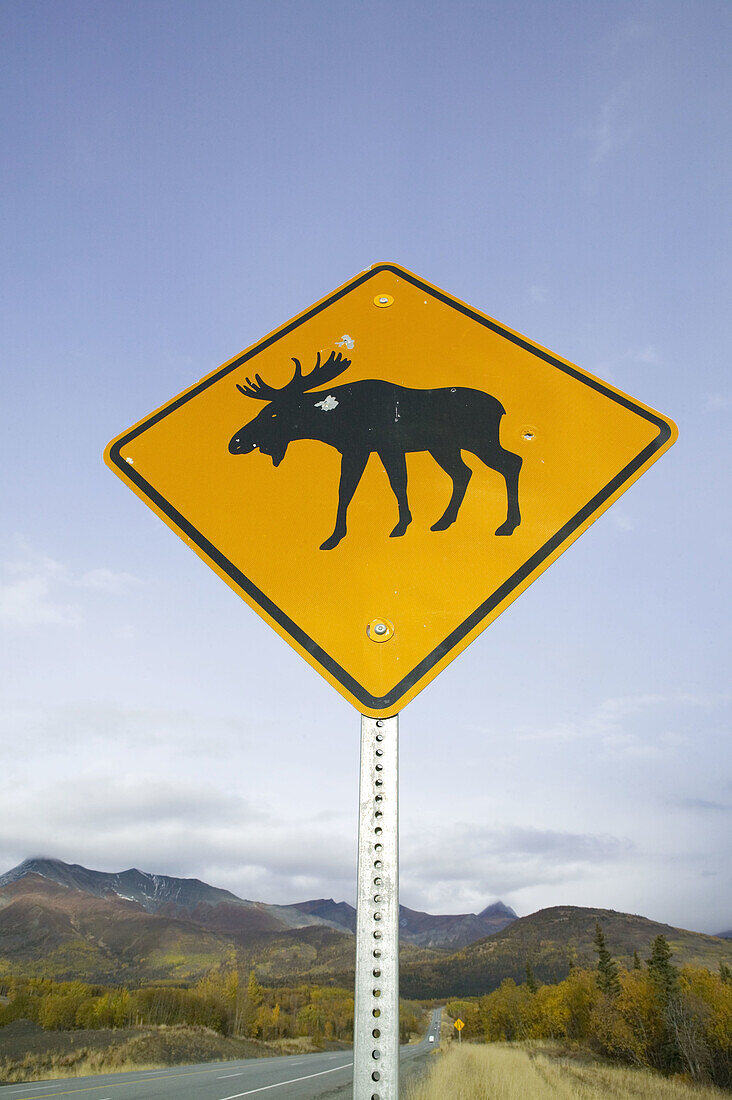 Moose Crossing Roadsign along Glenn Highway. Glenn Highway. Interior. Alaska. USA.