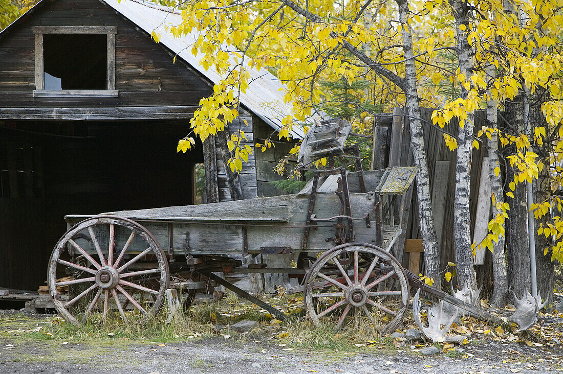 Old Wagon. Downtown. Fall. McCarthy. Interior. Alaska. USA.