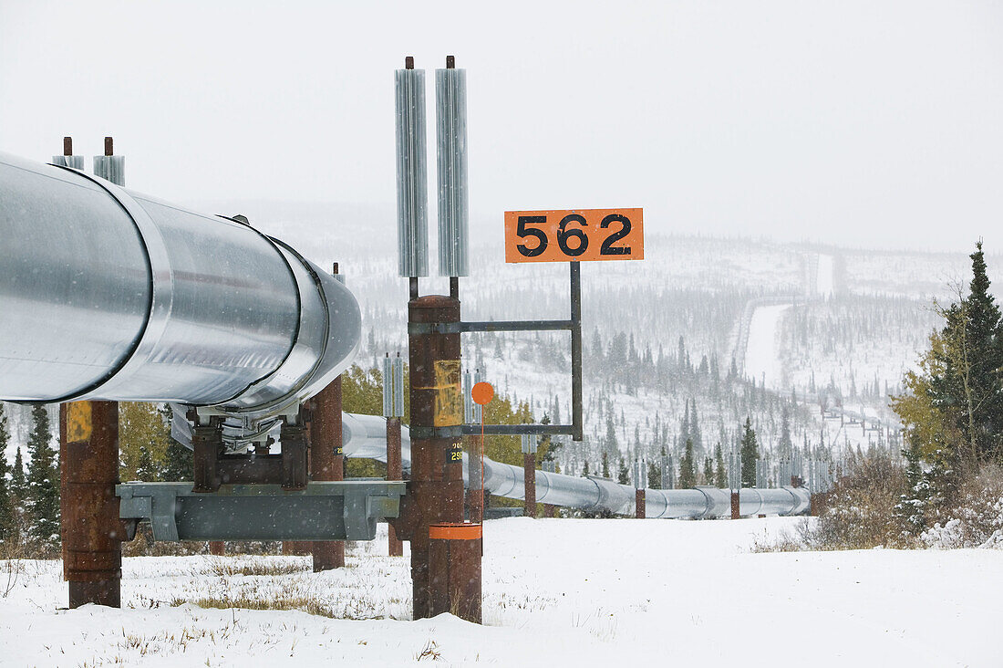 Trans-Alaska Pipeline View by Donnelly Dome. Winter (Mile 244 of Richardson Highway). Delta Junction. Interior. Alaska. USA.