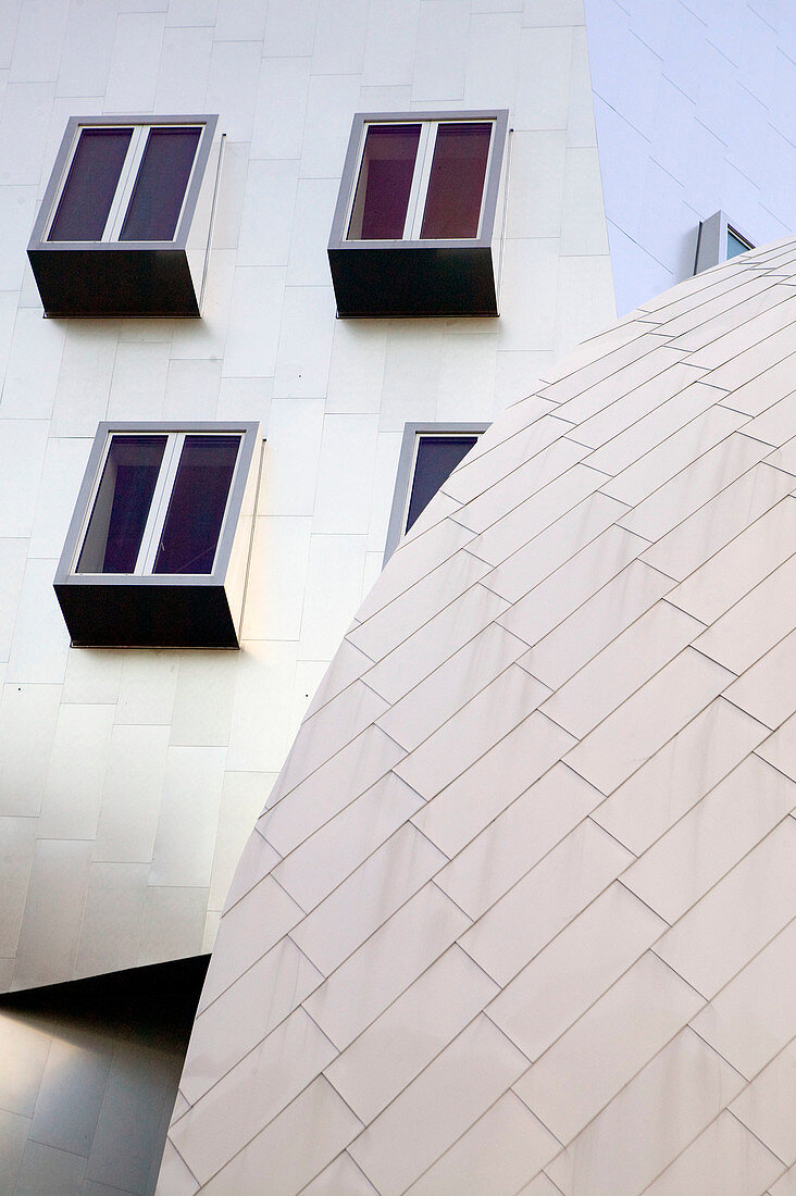 Massachusetts Institute of Technology (MIT). The Stata Center (b.2004) Architect Frank Gehry - Detail. Cambridge. Massachusetts. USA.