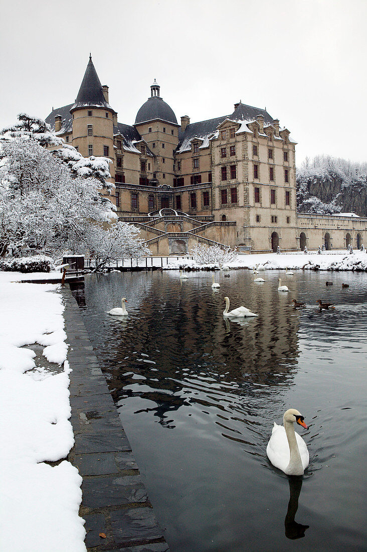 Swan Lake. Chateau de Vizille Park after winter storm. Vizille. Isère. French Alps. France.