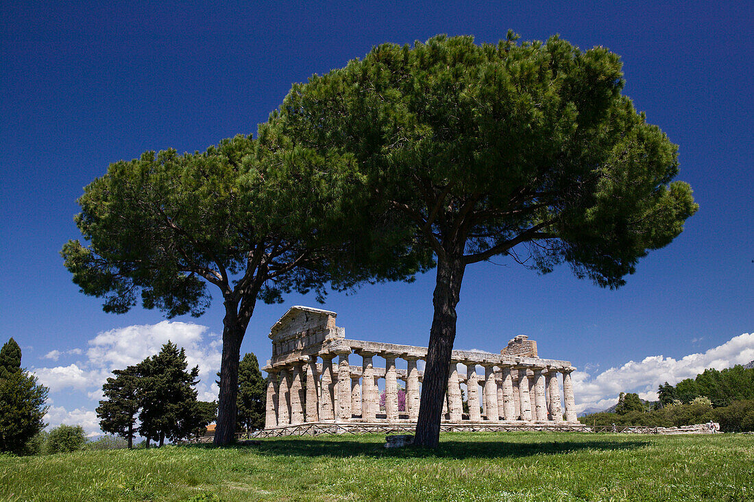 Site of Ancient Greek Ruins. Tempio di Cerere (Temple of Ceres) VIth century BC. Paestum. Campania. Italy.