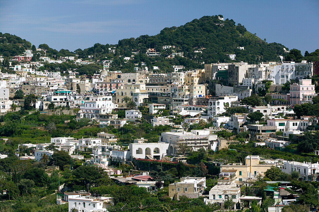 View of Capri port from Anacapri. Capri. Bay of Naples. Campania. Italy.