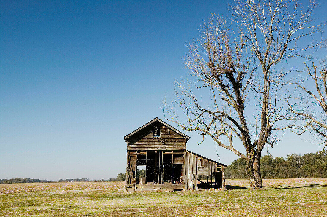 Cotton Field Shack. Stovall Farms. Huge Cotton Plantation that employed many Blues Musicians as laborers. Stovall. Mississippi Delta. Mississippi. USA.