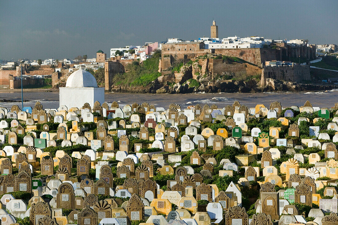 Morocco-Sale (town across from Rabat): Muslim Cemetery / Morning