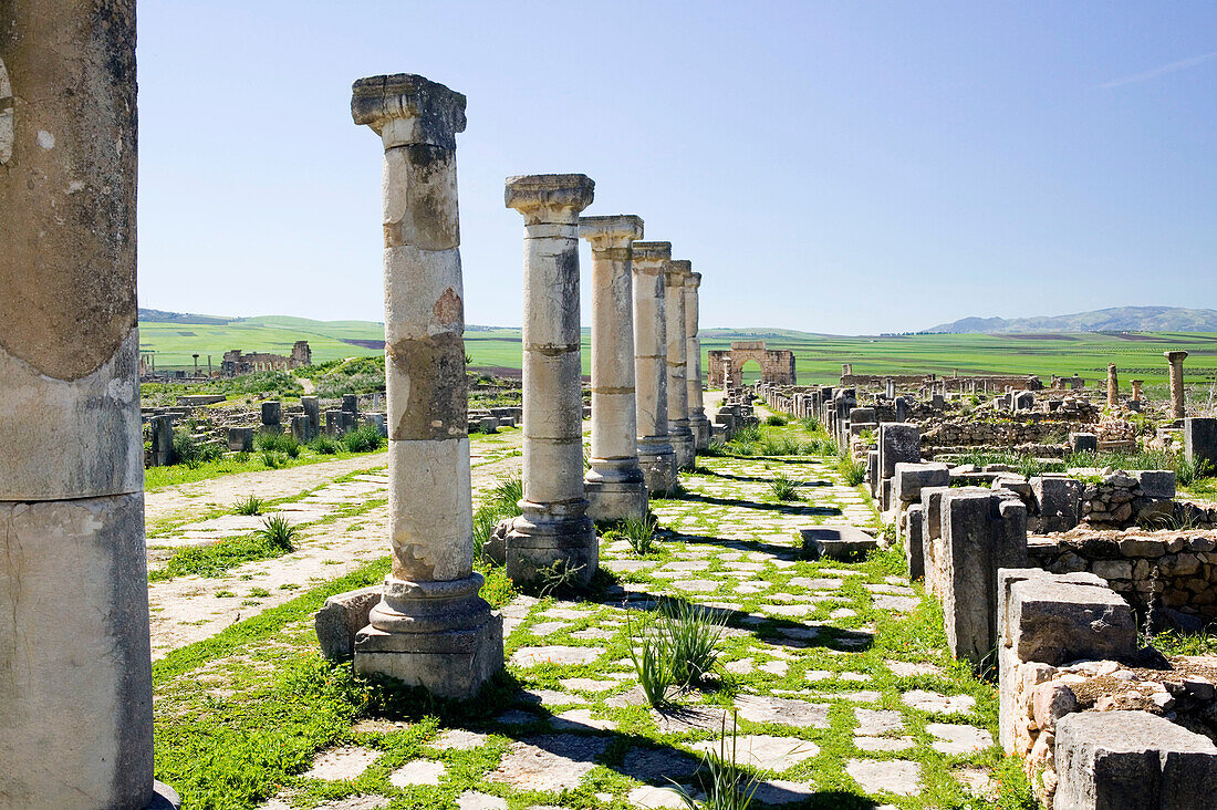 Morocco-Volubilis: Roman Town mostly dating to 2nd & 3rd c. AD/ Abandoned by Romans in 280 AD -Town View along Decumanus Maximus Processional Road