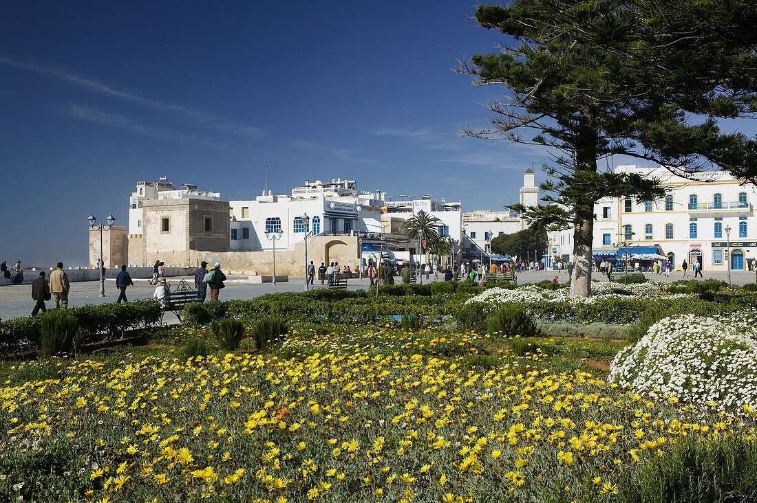 Morocco. Atlantic Coast. Essaouira. Place Moulay Hassan