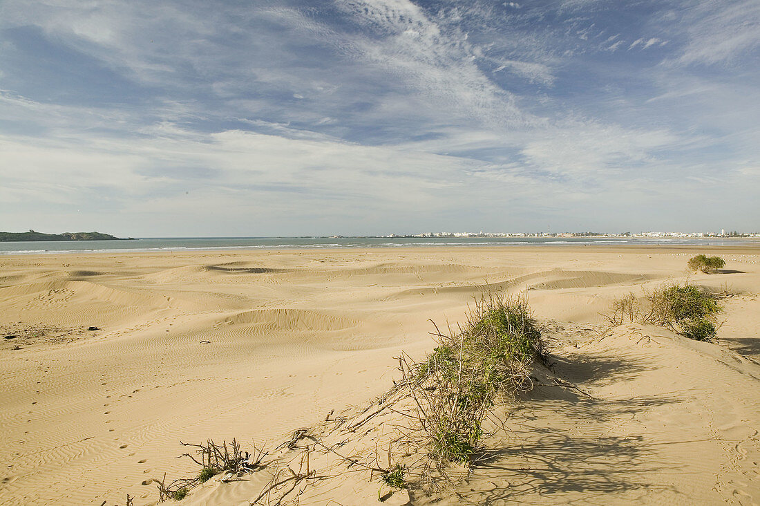 Morocco. Atlantic Coast. Essaouira: Town View from Diabat Village Dunes