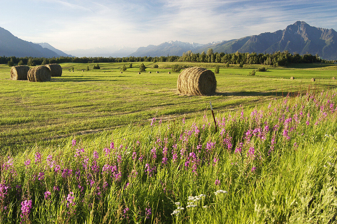 farmland, Alaska