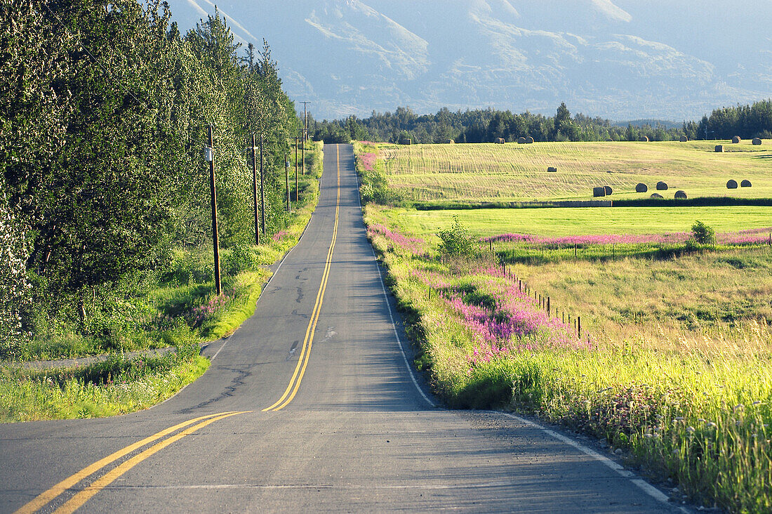 country road, Alaska