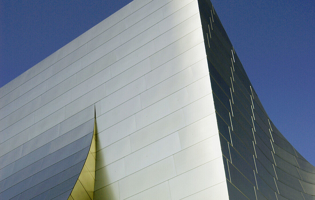 Walt Disney Concert Hall (1987-2003) by Frank Gehry. Los Angeles. USA