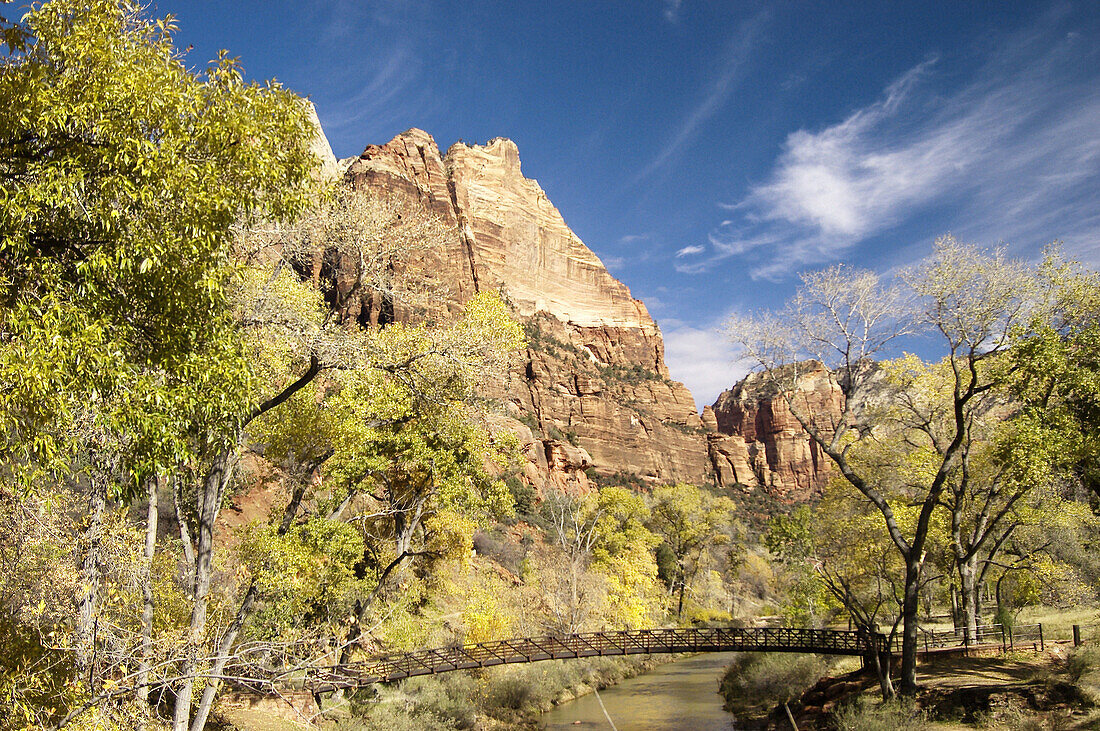 Autumn bridge. Zion National Park in Utah, USA