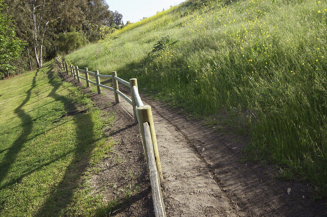 Country fence and path