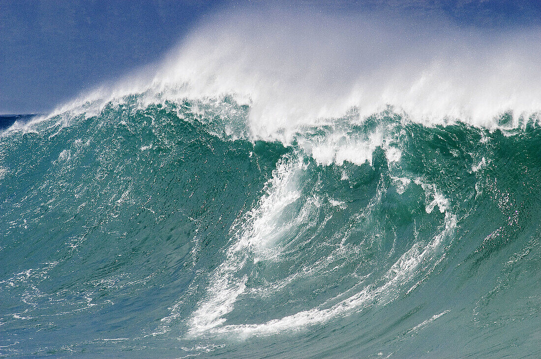 Powerful wave, Oahu. Hawaii, USA
