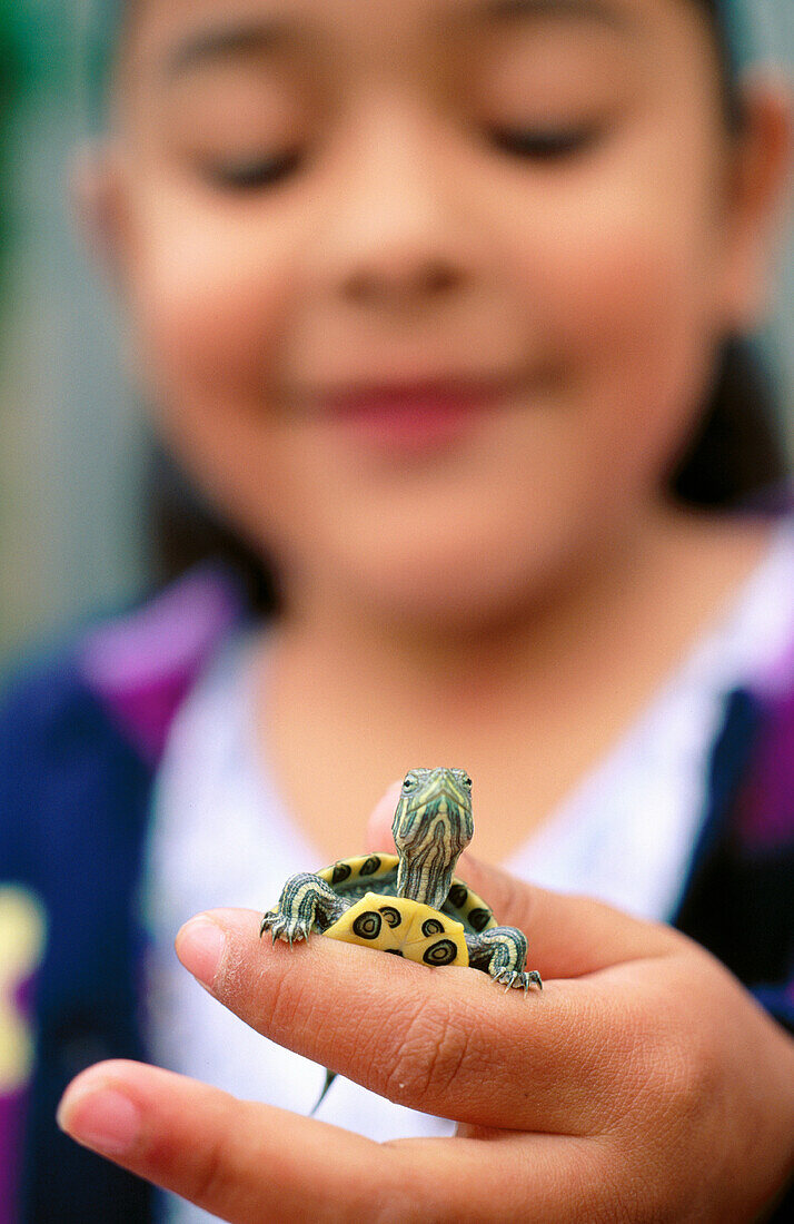 Student holding turtle