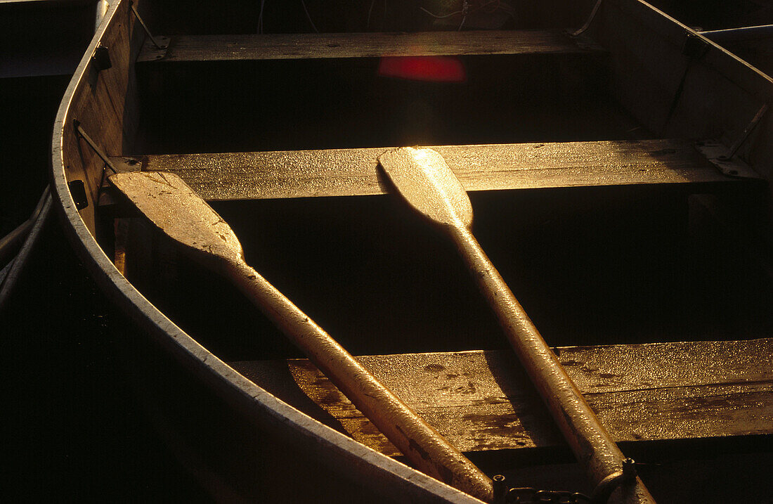 Two oars in a row boat