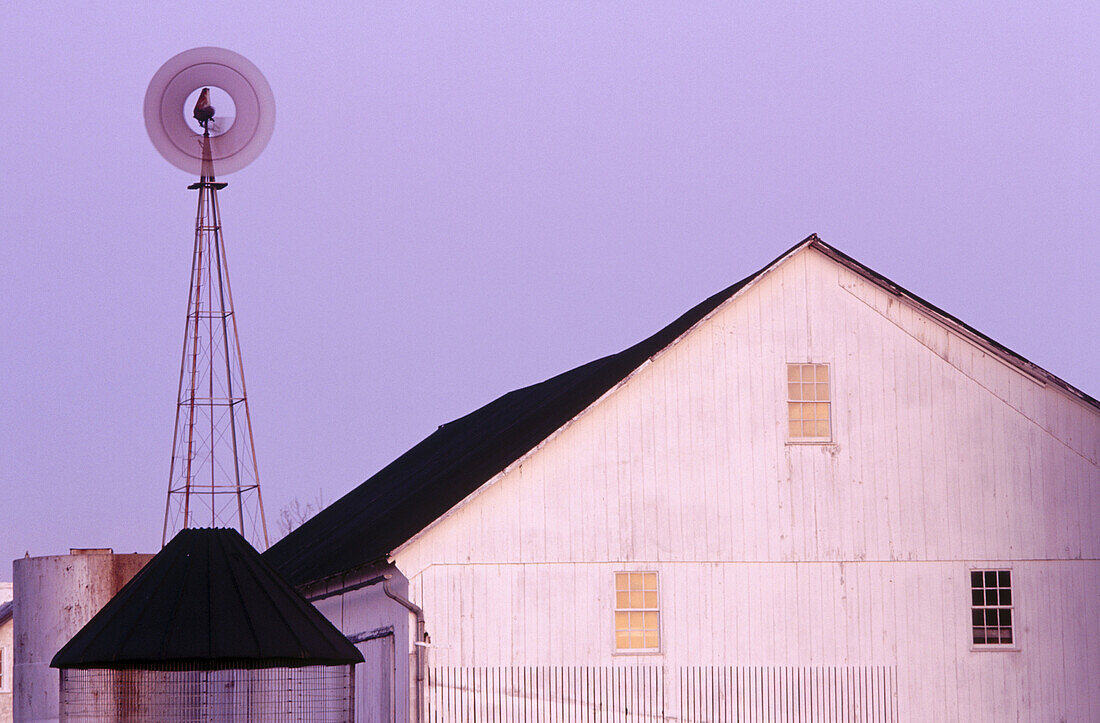 Windmill and white barn. Amish. USA.