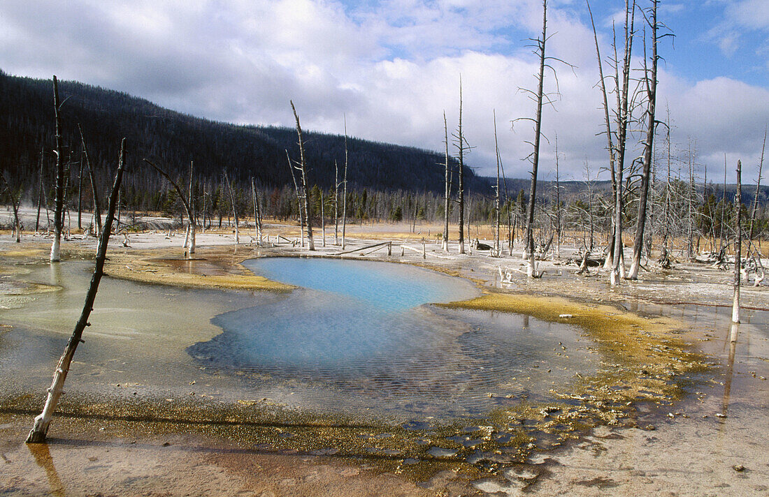 Yellowstone NP, USA, geyser basin
