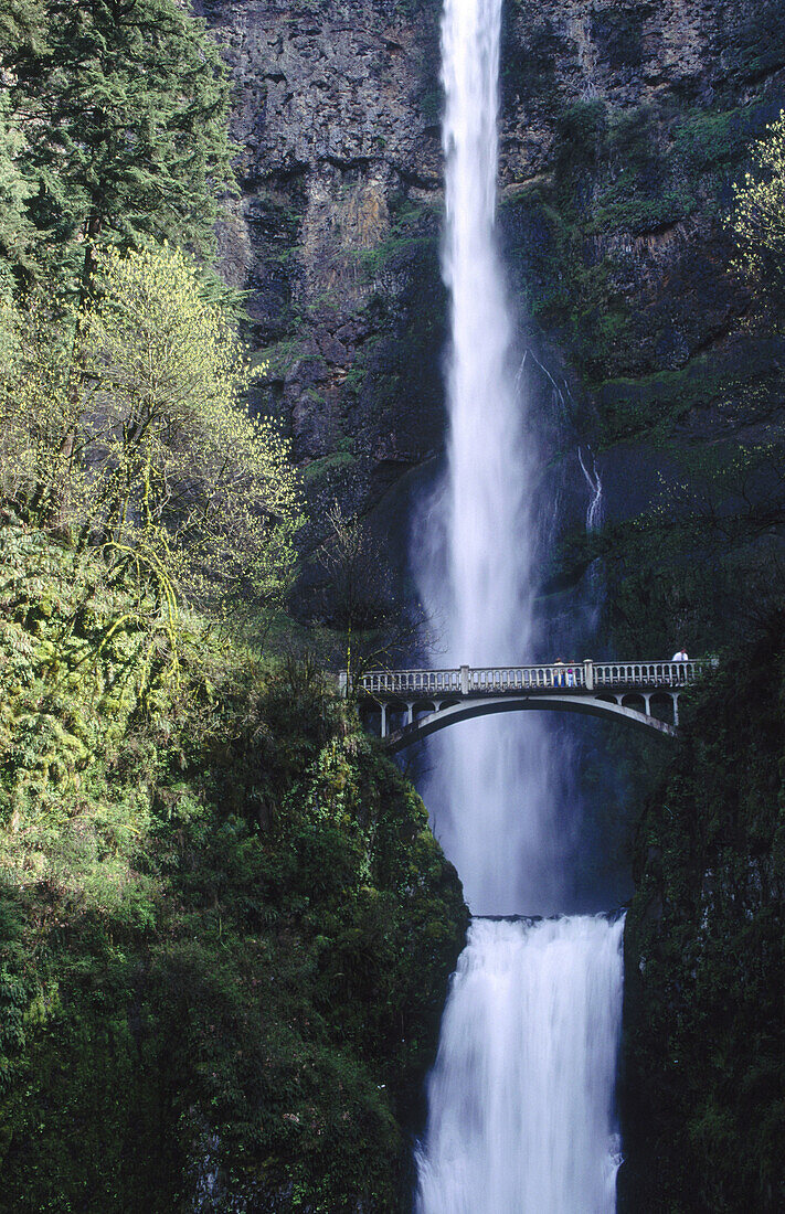 Waterfalls and arched bridge on Oregon, USA