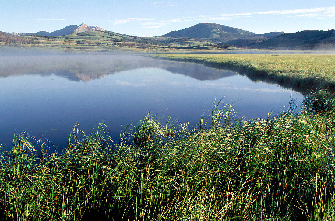 Lake, still w reflections and mountains and grass in Yellowstone, NP