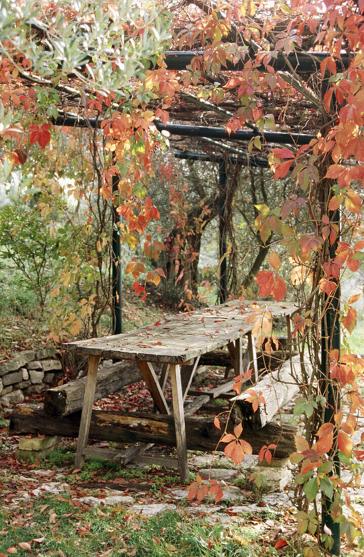 Fall Garden Bench and Table, Umbria Italy