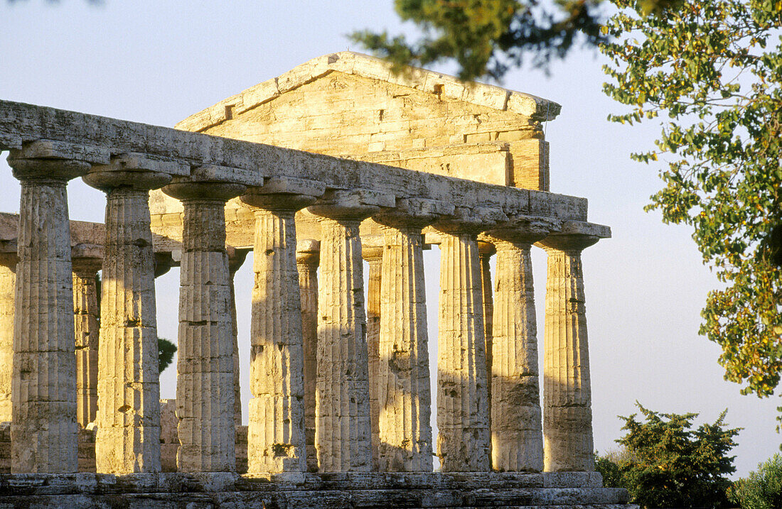 Temple of Athena. Paestum. Italy