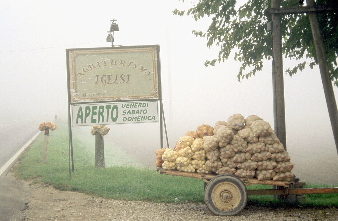 Sacks of potatoes and onions. Veneto. Italy
