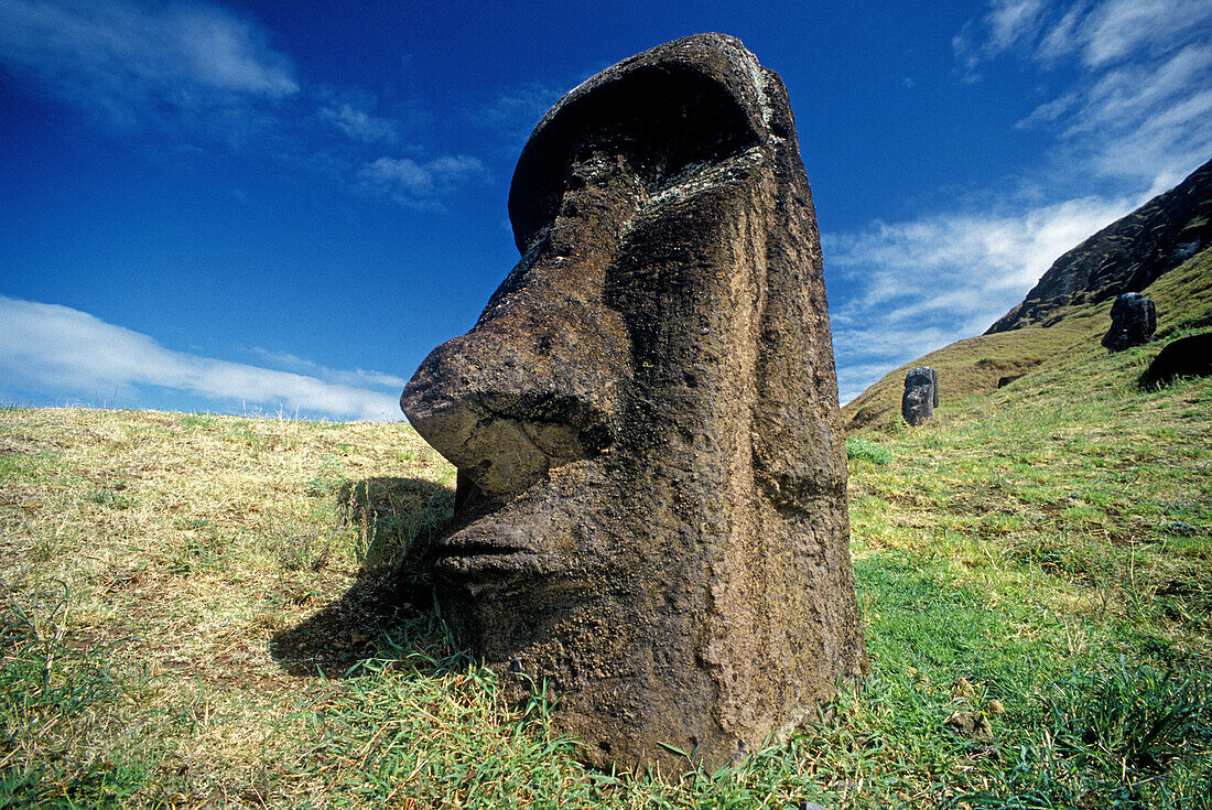 Moai statue, face. Rano Raraku, Eastern … – License image – 70140753 ...