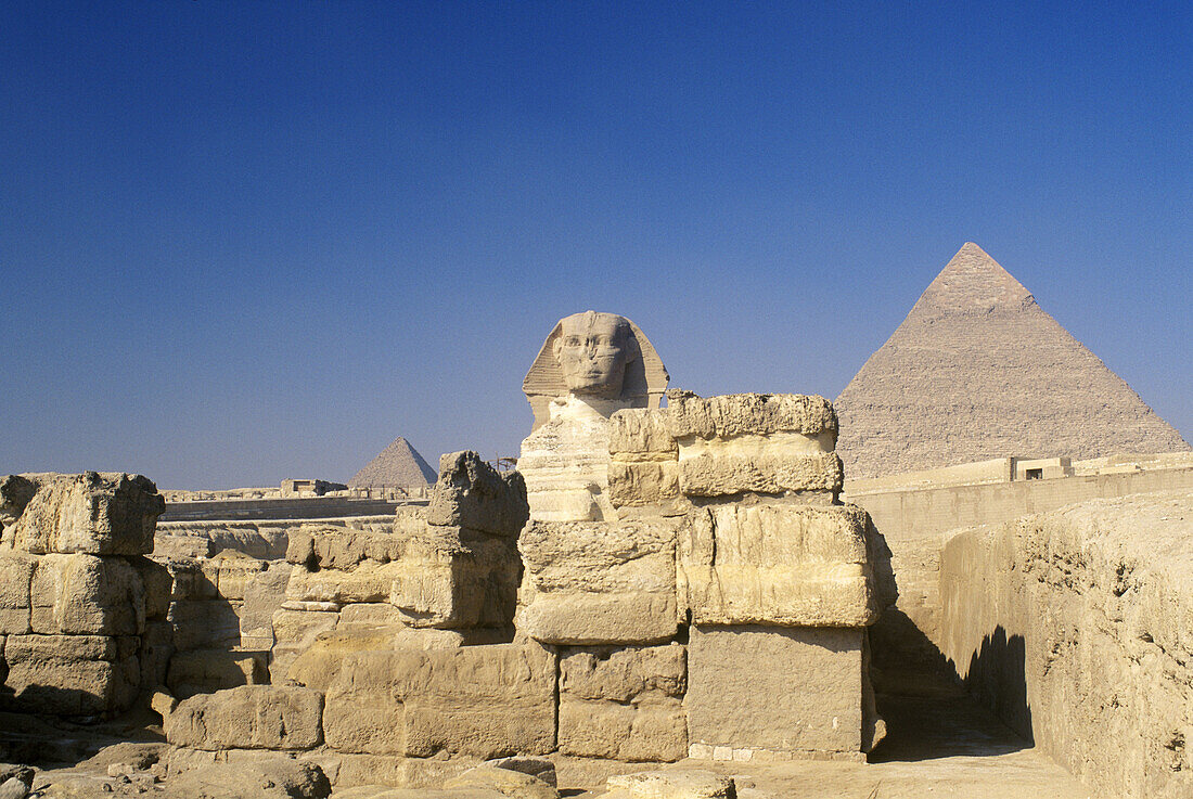 Sphinx and Pyramid. Gizeh. Egypt