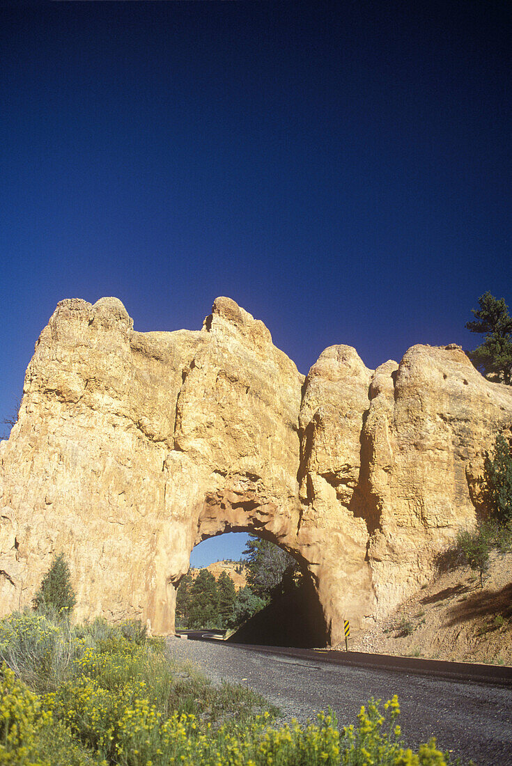 Red Canyon, Bryce Canyon National Park, Utah, USA