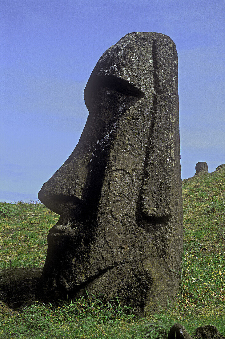 Moai statue, Rano Raraku. Easter Island, Chile