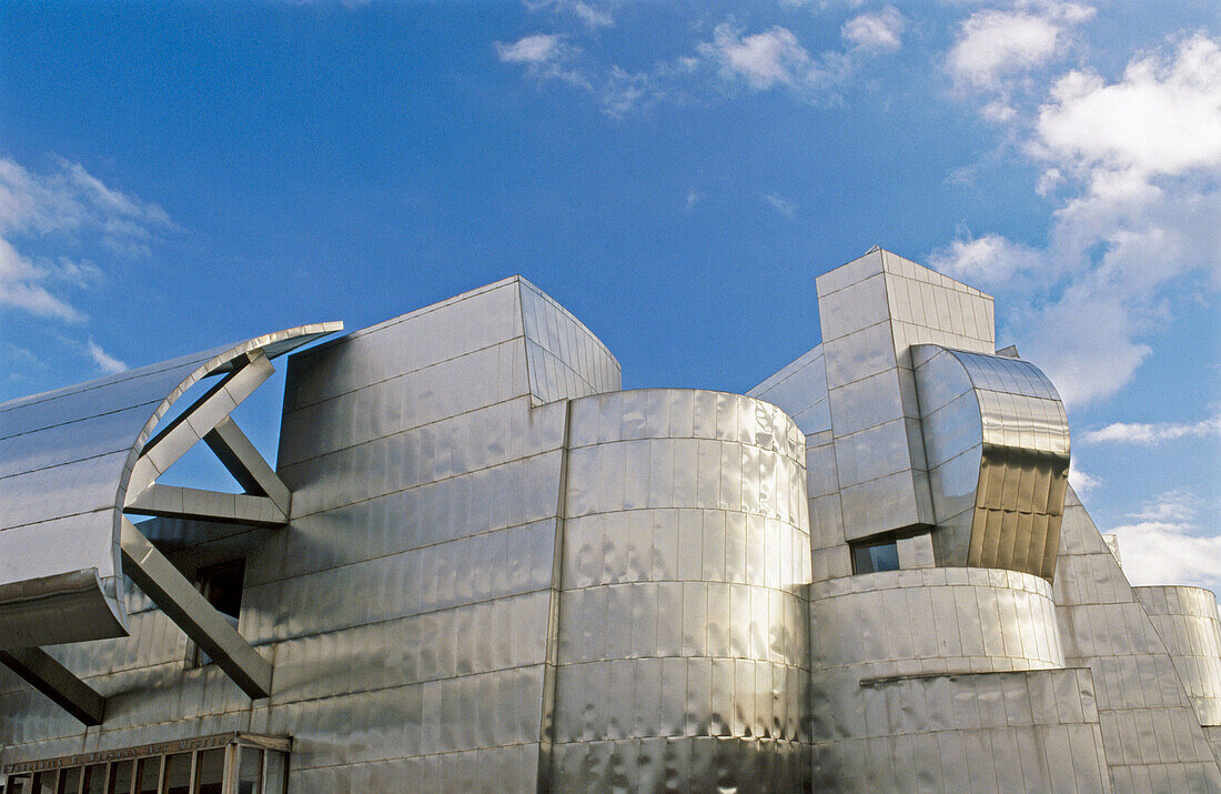 Frederick R. Weisman Art Museum. Minneapolis. USA. Designed by Frank O. Gehry (Architect)